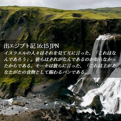 Picture 02 - 出エジプト記 16:15 JPN - イスラエルの人々はそれを見て互に - Bible Verse Picture