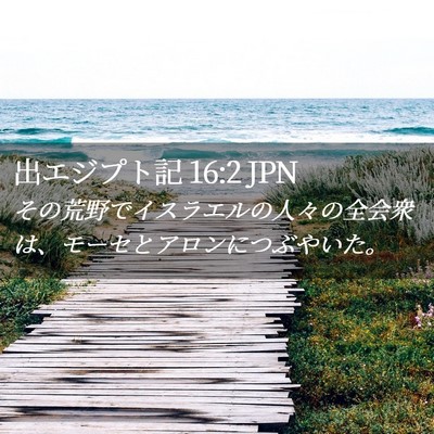 Picture 02 - 出エジプト記 16:2 JPN - その荒野でイスラエルの人々の全会 - Bible Verse Picture