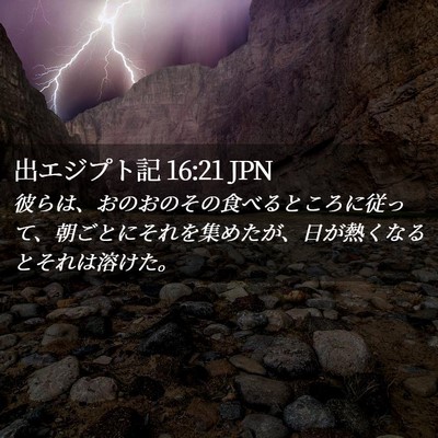 Picture 02 - 出エジプト記 16:21 JPN - 彼らは、おのおのその食べるところ - Bible Verse Picture