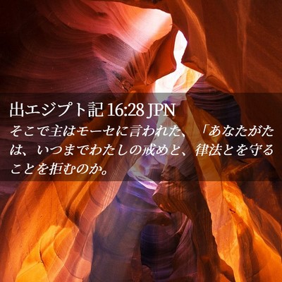 Picture 02 - 出エジプト記 16:28 JPN - そこで主はモーセに言われた、「あ - Bible Verse Picture