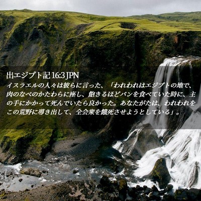 Picture 02 - 出エジプト記 16:3 JPN - イスラエルの人々は彼らに言った、 - Bible Verse Picture