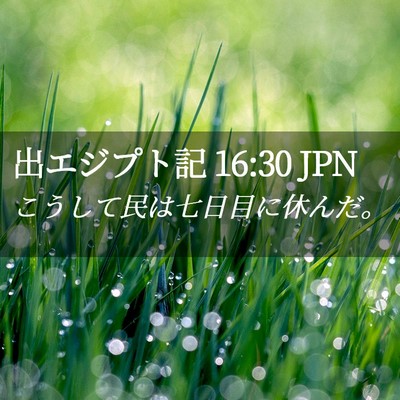 Picture 02 - 出エジプト記 16:30 JPN - こうして民は七日目に休んだ。 - Bible Verse Picture