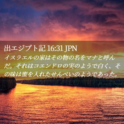 Picture 02 - 出エジプト記 16:31 JPN - イスラエルの家はその物の名をマナ - Bible Verse Picture