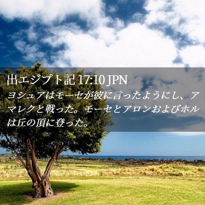 Picture 02 - 出エジプト記 17:10 JPN - ヨシュアはモーセが彼に言ったよう - Bible Verse Picture