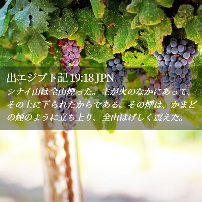Picture 02 - 出エジプト記 19:18 JPN - シナイ山は全山煙った。主が火のな - Bible Verse Picture