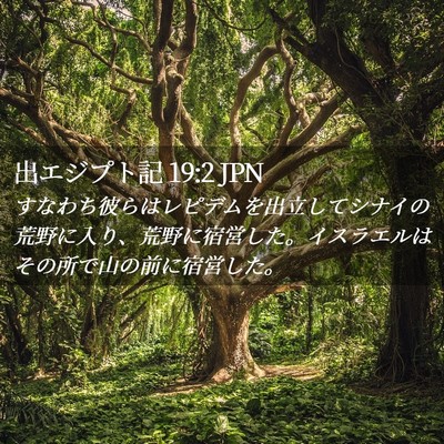 Picture 02 - 出エジプト記 19:2 JPN - すなわち彼らはレピデムを出立して - Bible Verse Picture