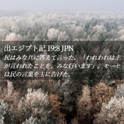 Picture 02 - 出エジプト記 19:8 JPN - 民はみな共に答えて言った、「われ - Bible Verse Picture