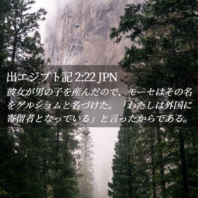 Picture 02 - 出エジプト記 2:22 JPN - 彼女が男の子を産んだので、モーセ - Bible Verse Picture