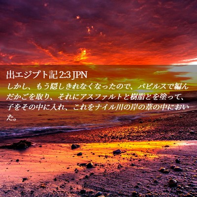 Picture 02 - 出エジプト記 2:3 JPN - しかし、もう隠しきれなくなったの - Bible Verse Picture