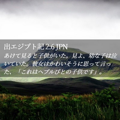 Picture 02 - 出エジプト記 2:6 JPN - あけて見ると子供がいた。見よ、幼 - Bible Verse Picture