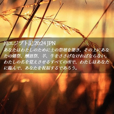 Picture 02 - 出エジプト記 20:24 JPN - あなたはわたしのために土の祭壇を - Bible Verse Picture