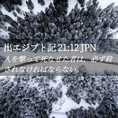 Picture 02 - 出エジプト記 21:12 JPN - 人を撃って死なせた者は、必ず殺さ - Bible Verse Picture