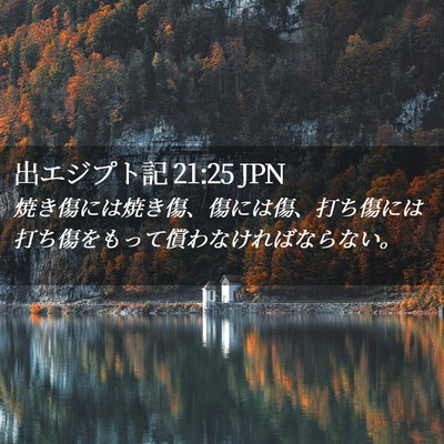 Picture 02 - 出エジプト記 21:25 JPN - 焼き傷には焼き傷、傷には傷、打ち - Bible Verse Picture