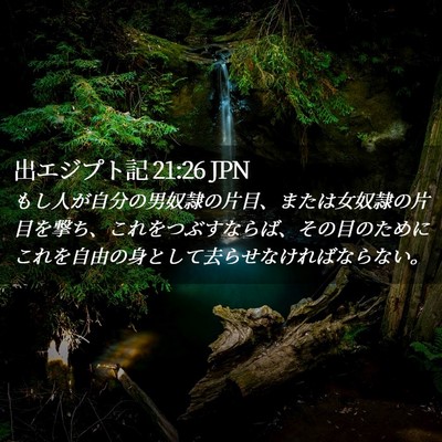 Picture 02 - 出エジプト記 21:26 JPN - もし人が自分の男奴隷の片目、また - Bible Verse Picture