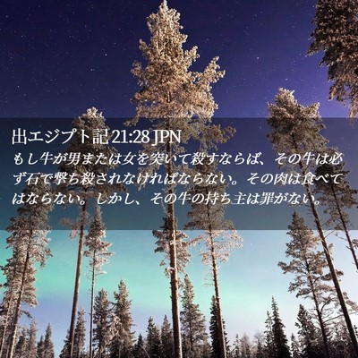 Picture 02 - 出エジプト記 21:28 JPN - もし牛が男または女を突いて殺すな - Bible Verse Picture