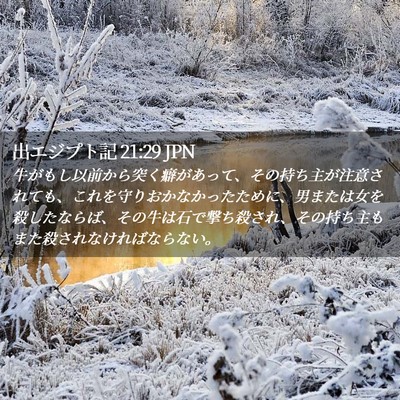 Picture 02 - 出エジプト記 21:29 JPN - 牛がもし以前から突く癖があって、 - Bible Verse Picture