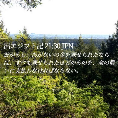 Picture 02 - 出エジプト記 21:30 JPN - 彼がもし、あがないの金を課せられ - Bible Verse Picture