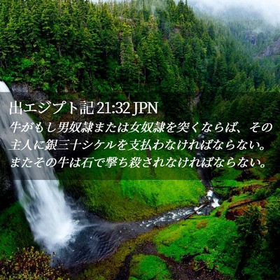 Picture 02 - 出エジプト記 21:32 JPN - 牛がもし男奴隷または女奴隷を突く - Bible Verse Picture
