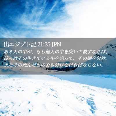 Picture 02 - 出エジプト記 21:35 JPN - ある人の牛が、もし他人の牛を突い - Bible Verse Picture
