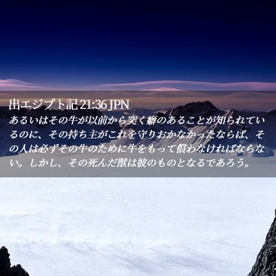 Picture 02 - 出エジプト記 21:36 JPN - あるいはその牛が以前から突く癖の - Bible Verse Picture