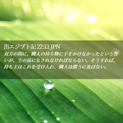 Picture 02 - 出エジプト記 22:11 JPN - 双方の間に、隣人の持ち物に手をか - Bible Verse Picture