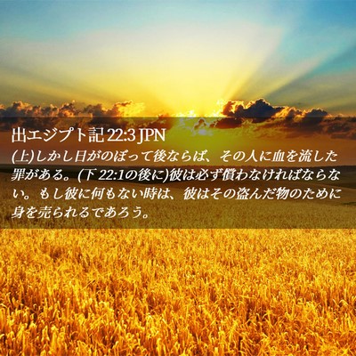 Picture 02 - 出エジプト記 22:3 JPN - (上)しかし日がのぼって後ならば、そ - Bible Verse Picture