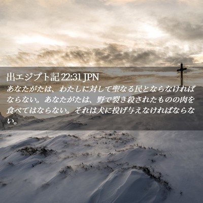 Picture 02 - 出エジプト記 22:31 JPN - あなたがたは、わたしに対して聖な - Bible Verse Picture
