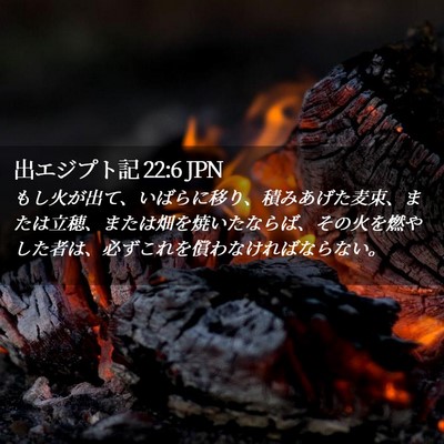 Picture 02 - 出エジプト記 22:6 JPN - もし火が出て、いばらに移り、積み - Bible Verse Picture