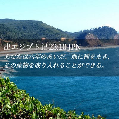 Picture 02 - 出エジプト記 23:10 JPN - あなたは六年のあいだ、地に種をま - Bible Verse Picture