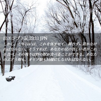 Picture 02 - 出エジプト記 23:11 JPN - しかし、七年目には、これを休ませ - Bible Verse Picture