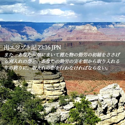 Picture 02 - 出エジプト記 23:16 JPN - また、あなたが畑にまいて獲た物の - Bible Verse Picture