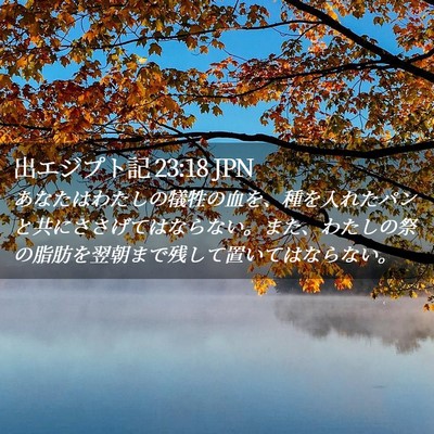 Picture 02 - 出エジプト記 23:18 JPN - あなたはわたしの犠牲の血を、種を - Bible Verse Picture