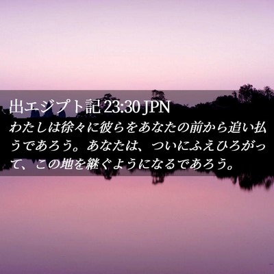 Picture 02 - 出エジプト記 23:30 JPN - わたしは徐々に彼らをあなたの前か - Bible Verse Picture