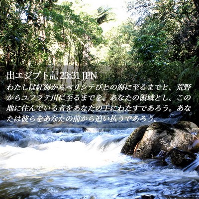 Picture 02 - 出エジプト記 23:31 JPN - わたしは紅海からペリシテびとの海 - Bible Verse Picture