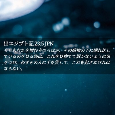 Picture 02 - 出エジプト記 23:5 JPN - もしあなたを憎む者のろばが、その - Bible Verse Picture