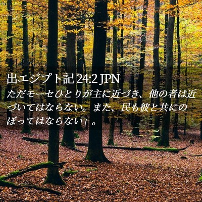 Picture 02 - 出エジプト記 24:2 JPN - ただモーセひとりが主に近づき、他 - Bible Verse Picture