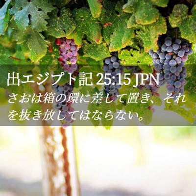 Picture 02 - 出エジプト記 25:15 JPN - さおは箱の環に差して置き、それを - Bible Verse Picture