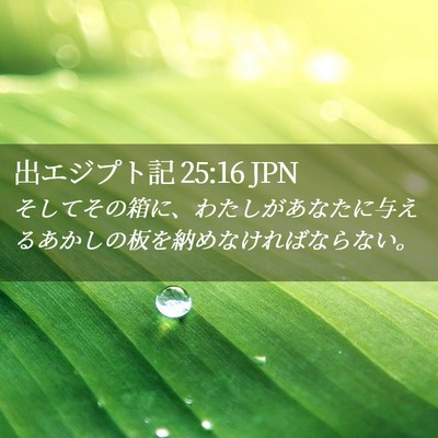 Picture 02 - 出エジプト記 25:16 JPN - そしてその箱に、わたしがあなたに - Bible Verse Picture