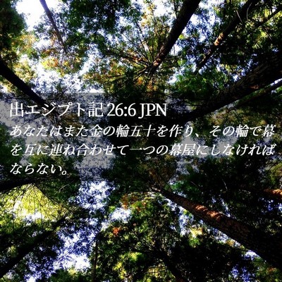 Picture 02 - 出エジプト記 26:6 JPN - あなたはまた金の輪五十を作り、そ - Bible Verse Picture