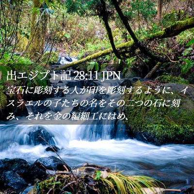 Picture 02 - 出エジプト記 28:11 JPN - 宝石に彫刻する人が印を彫刻するよ - Bible Verse Picture