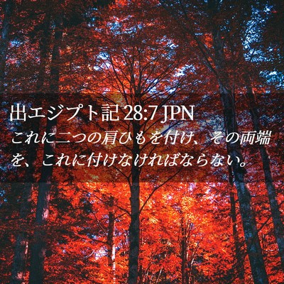 Picture 02 - 出エジプト記 28:7 JPN - これに二つの肩ひもを付け、その両 - Bible Verse Picture