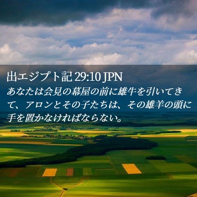 Picture 02 - 出エジプト記 29:10 JPN - あなたは会見の幕屋の前に雄牛を引 - Bible Verse Picture