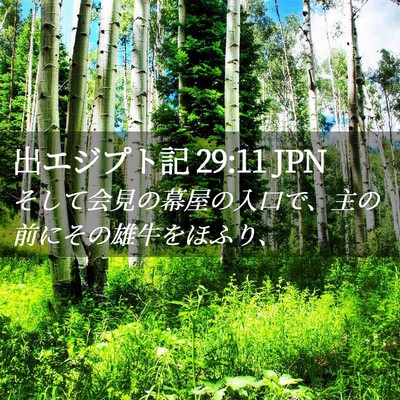 Picture 02 - 出エジプト記 29:11 JPN - そして会見の幕屋の入口で、主の前 - Bible Verse Picture