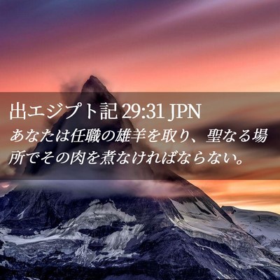 Picture 02 - 出エジプト記 29:31 JPN - あなたは任職の雄羊を取り、聖なる - Bible Verse Picture