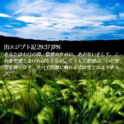 Picture 02 - 出エジプト記 29:37 JPN - あなたは七日の間、祭壇のために、 - Bible Verse Picture