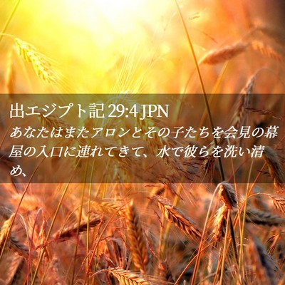 Picture 02 - 出エジプト記 29:4 JPN - あなたはまたアロンとその子たちを - Bible Verse Picture