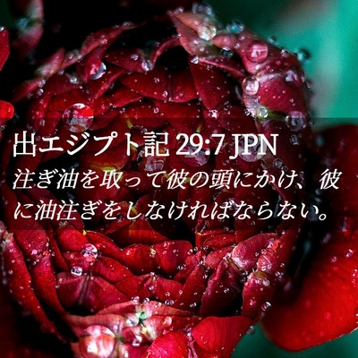 Picture 02 - 出エジプト記 29:7 JPN - 注ぎ油を取って彼の頭にかけ、彼に - Bible Verse Picture