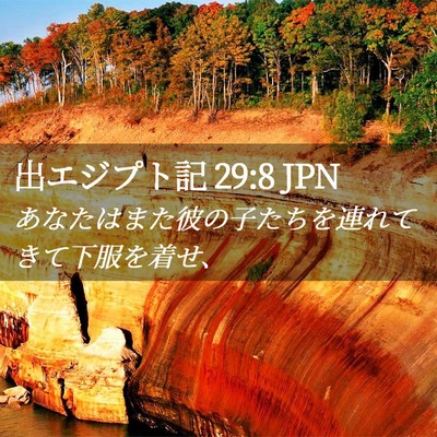 Picture 02 - 出エジプト記 29:8 JPN - あなたはまた彼の子たちを連れてき - Bible Verse Picture