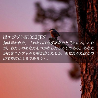Picture 02 - 出エジプト記 3:12 JPN - 神は言われた、「わたしは必ずあな - Bible Verse Picture