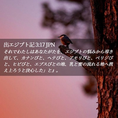 Picture 02 - 出エジプト記 3:17 JPN - それでわたしはあなたがたを、エジ - Bible Verse Picture